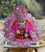 Vrindavan Mirror Majesty Poshak - Image 8